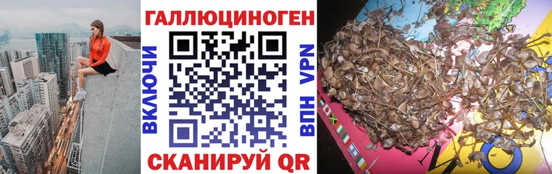 Псилоцибиновые грибы GOLDEN TEACHER  Узловая 